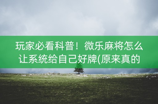 玩家必看科普！微乐麻将怎么让系统给自己好牌(原来真的有挂)