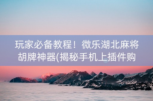 玩家必备教程！微乐湖北麻将胡牌神器(揭秘手机上插件购买)