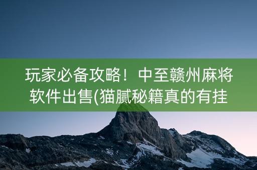玩家必备攻略！中至赣州麻将软件出售(猫腻秘籍真的有挂)