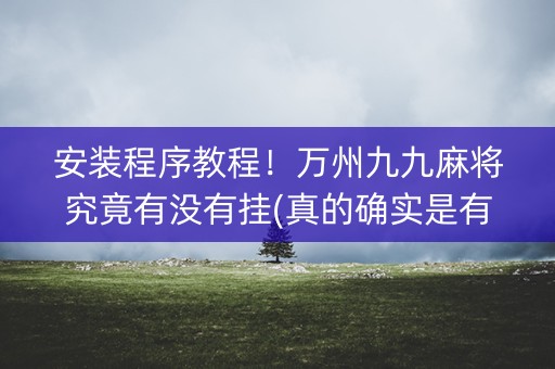 安装程序教程！万州九九麻将究竟有没有挂(真的确实是有挂)