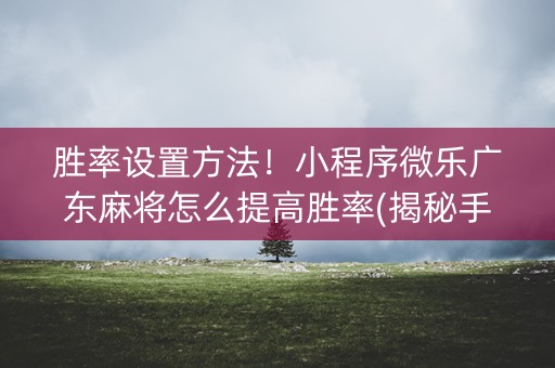 胜率设置方法！小程序微乐广东麻将怎么提高胜率(揭秘手机上如何让牌变好)