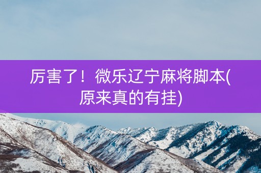 厉害了！微乐辽宁麻将脚本(原来真的有挂)