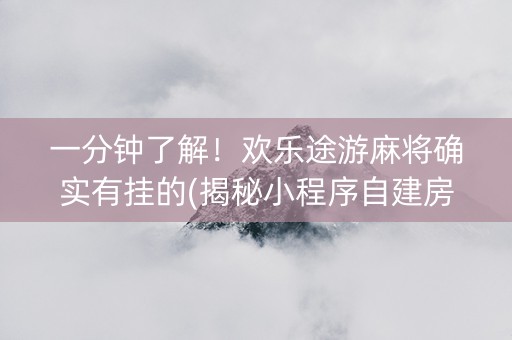 一分钟了解！欢乐途游麻将确实有挂的(揭秘小程序自建房怎么赢)