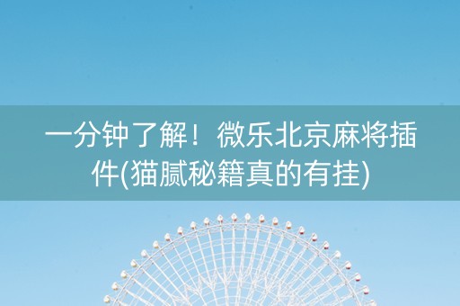 一分钟了解！微乐北京麻将插件(猫腻秘籍真的有挂)