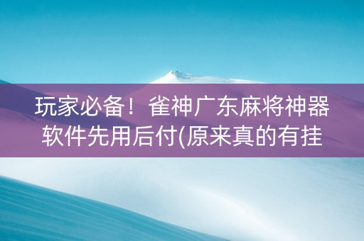 玩家必备！雀神广东麻将神器软件先用后付(原来真的有挂呢)