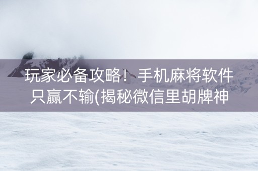 玩家必备攻略！手机麻将软件只赢不输(揭秘微信里胡牌神器)