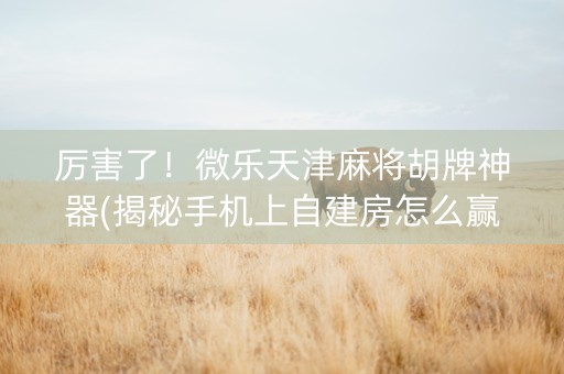 厉害了！微乐天津麻将胡牌神器(揭秘手机上自建房怎么赢)