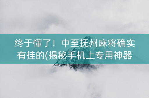 终于懂了！中至抚州麻将确实有挂的(揭秘手机上专用神器下载)