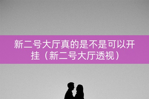 新二号大厅真的是不是可以开挂（新二号大厅透视）