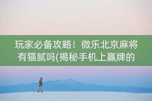 玩家必备攻略！微乐北京麻将有猫腻吗(揭秘手机上赢牌的技巧)