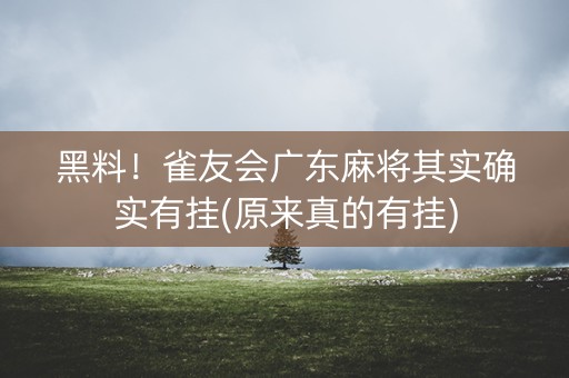 黑料！雀友会广东麻将其实确实有挂(原来真的有挂)