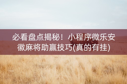必看盘点揭秘！小程序微乐安徽麻将助赢技巧(真的有挂)