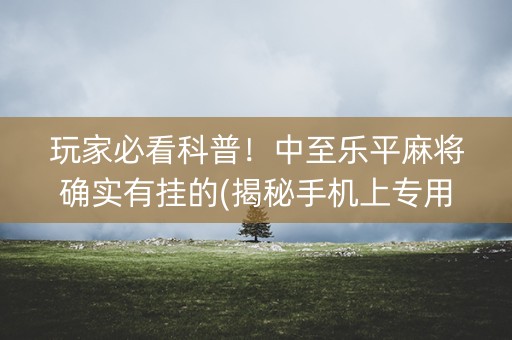 玩家必看科普！中至乐平麻将确实有挂的(揭秘手机上专用神器下载)