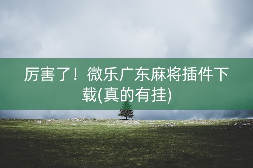 厉害了！微乐广东麻将插件下载(真的有挂)
