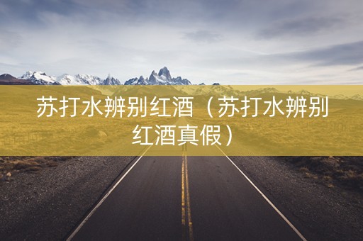 苏打水辨别红酒（苏打水辨别红酒真假）