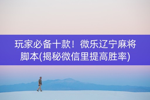 玩家必备十款！微乐辽宁麻将脚本(揭秘微信里提高胜率)