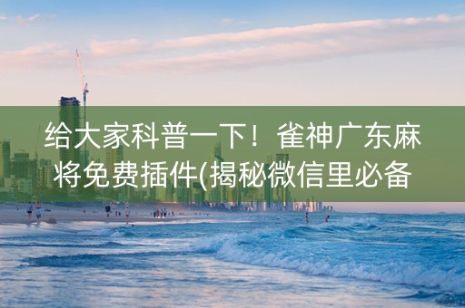 给大家科普一下！雀神广东麻将免费插件(揭秘微信里必备神器)