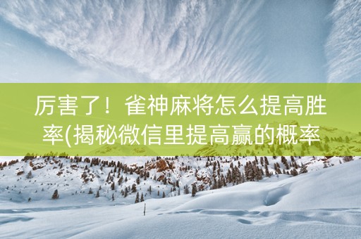厉害了！雀神麻将怎么提高胜率(揭秘微信里提高赢的概率)