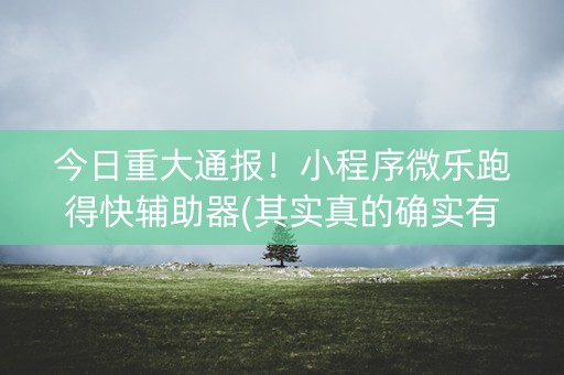 今日重大通报！小程序微乐跑得快辅助器(其实真的确实有挂)