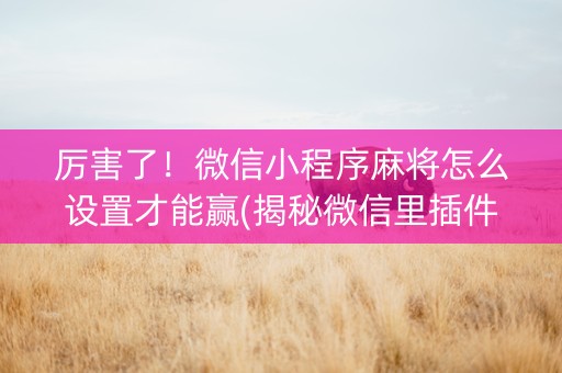 厉害了！微信小程序麻将怎么设置才能赢(揭秘微信里插件下载)