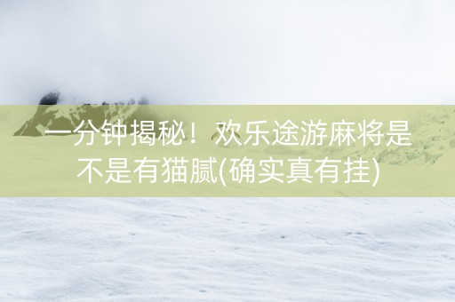 一分钟揭秘！欢乐途游麻将是不是有猫腻(确实真有挂)