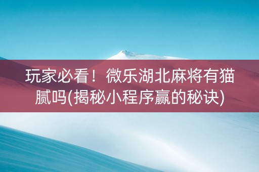 玩家必看！微乐湖北麻将有猫腻吗(揭秘小程序赢的秘诀)