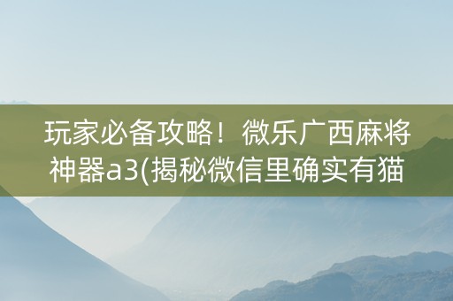 玩家必备攻略！微乐广西麻将神器a3(揭秘微信里确实有猫腻)