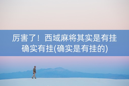 厉害了！西域麻将其实是有挂确实有挂(确实是有挂的)