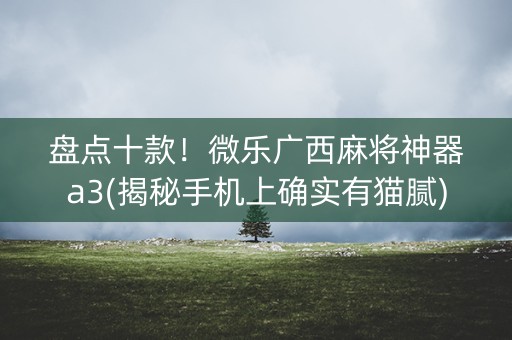 盘点十款！微乐广西麻将神器a3(揭秘手机上确实有猫腻)