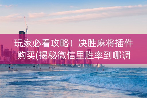 玩家必看攻略！决胜麻将插件购买(揭秘微信里胜率到哪调)