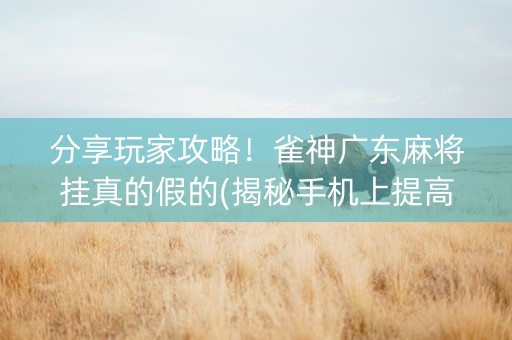 分享玩家攻略！雀神广东麻将挂真的假的(揭秘手机上提高胜率)
