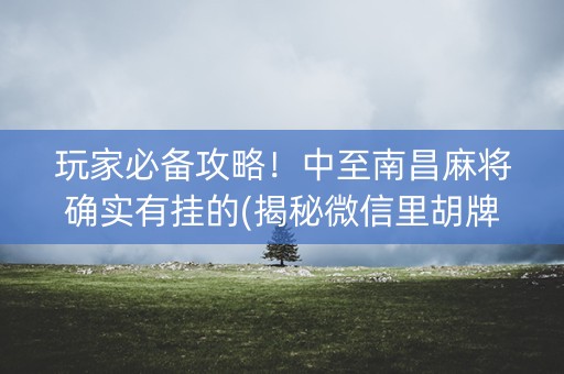 玩家必备攻略！中至南昌麻将确实有挂的(揭秘微信里胡牌技巧)