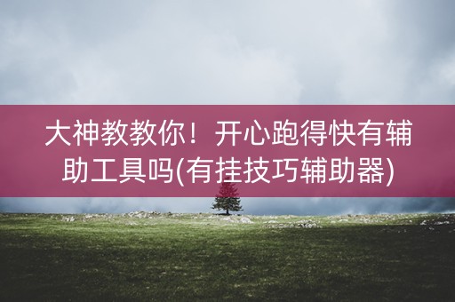 大神教教你！开心跑得快有辅助工具吗(有挂技巧辅助器)