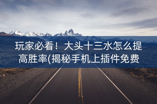玩家必看！大头十三水怎么提高胜率(揭秘手机上插件免费)