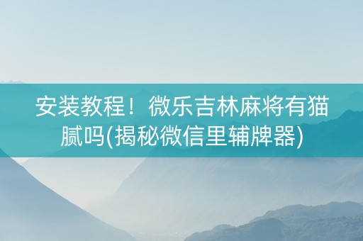 安装教程！微乐吉林麻将有猫腻吗(揭秘微信里辅牌器)