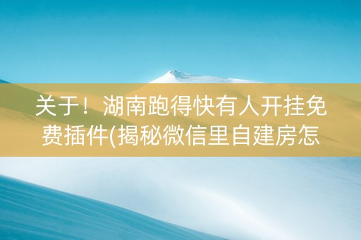 关于！湖南跑得快有人开挂免费插件(揭秘微信里自建房怎么赢)