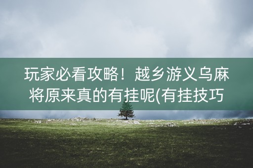 玩家必看攻略！越乡游义乌麻将原来真的有挂呢(有挂技巧辅助器)