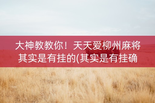 大神教教你！天天爱柳州麻将其实是有挂的(其实是有挂确实有挂)