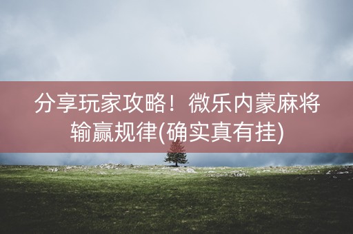 分享玩家攻略！微乐内蒙麻将输赢规律(确实真有挂)