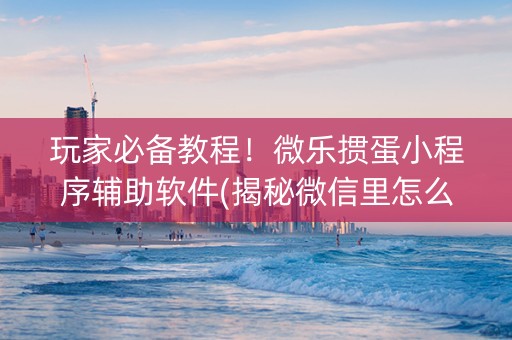 玩家必备教程！微乐掼蛋小程序辅助软件(揭秘微信里怎么容易赢)