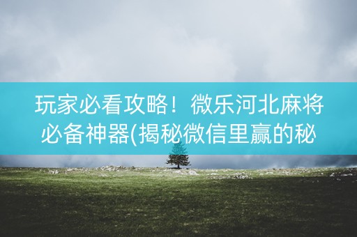 玩家必看攻略！微乐河北麻将必备神器(揭秘微信里赢的秘诀)