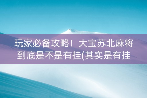 玩家必备攻略！大宝苏北麻将到底是不是有挂(其实是有挂的)
