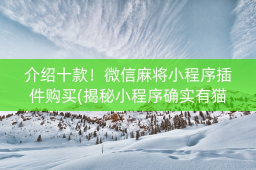 介绍十款！微信麻将小程序插件购买(揭秘小程序确实有猫腻)