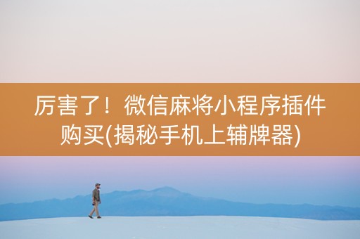 厉害了！微信麻将小程序插件购买(揭秘手机上辅牌器)