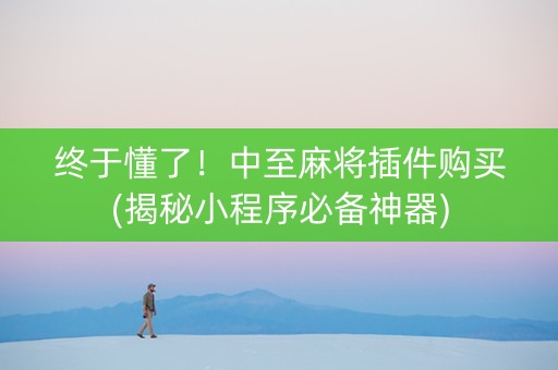 终于懂了！中至麻将插件购买(揭秘小程序必备神器)