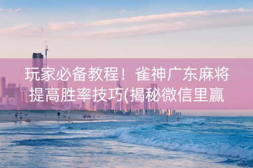 玩家必备教程！雀神广东麻将提高胜率技巧(揭秘微信里赢牌的技巧)