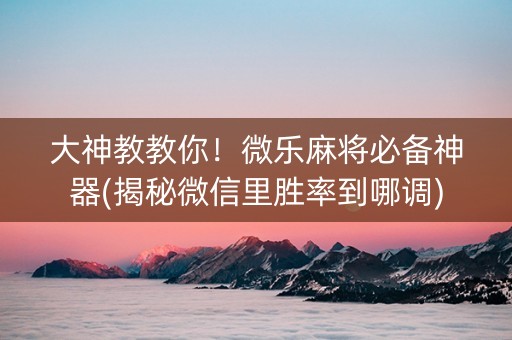 大神教教你！微乐麻将必备神器(揭秘微信里胜率到哪调)