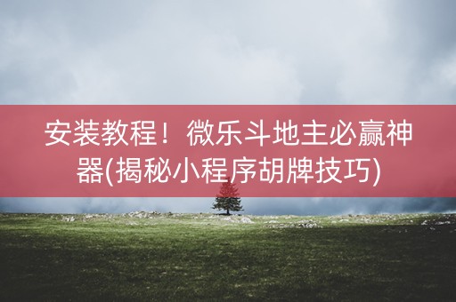 安装教程！微乐斗地主必赢神器(揭秘小程序胡牌技巧)