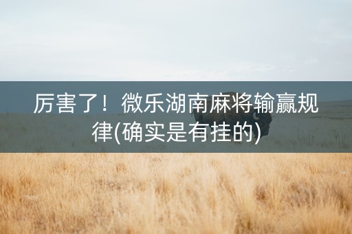 厉害了！微乐湖南麻将输赢规律(确实是有挂的)