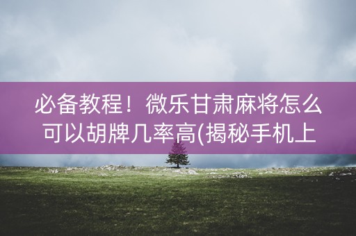 必备教程！微乐甘肃麻将怎么可以胡牌几率高(揭秘手机上专用神器下载)